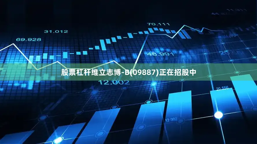 股票杠杆维立志博-B(09887)正在招股中