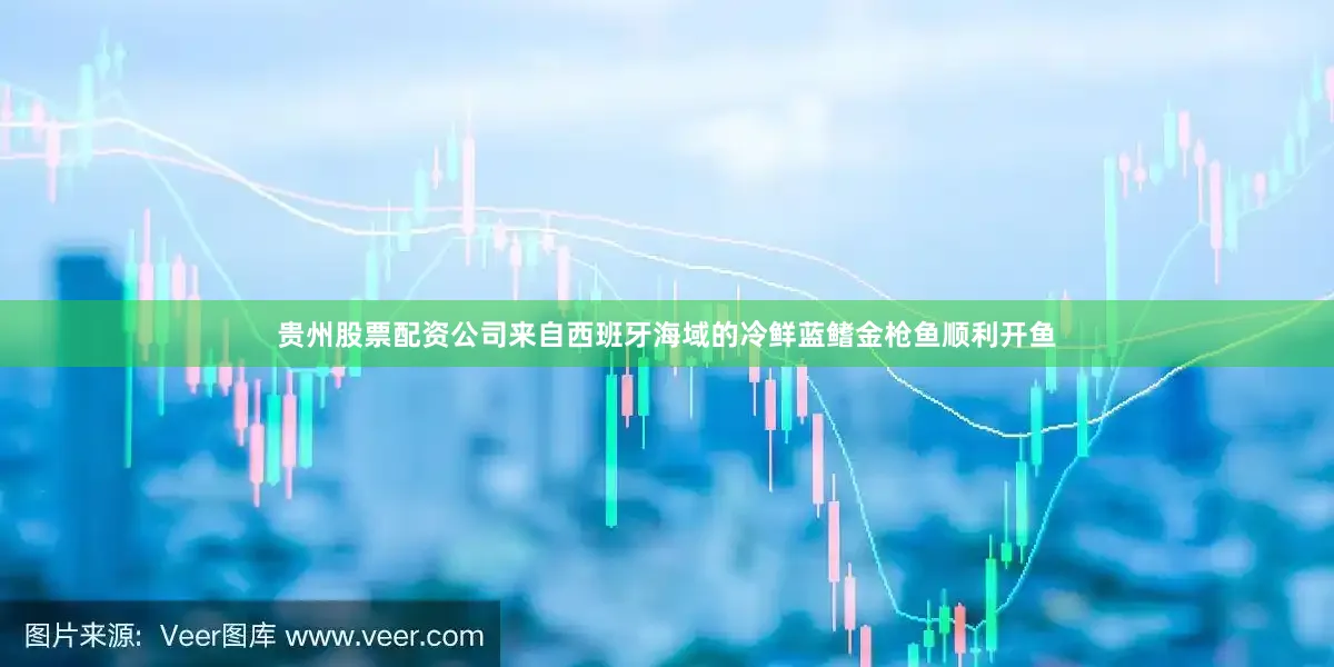 贵州股票配资公司来自西班牙海域的冷鲜蓝鳍金枪鱼顺利开鱼
