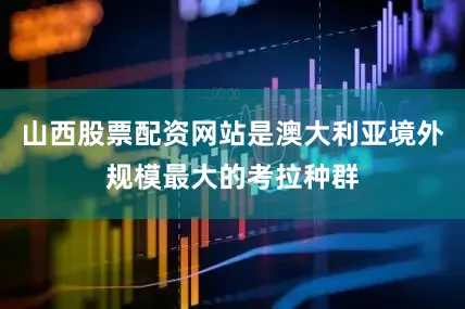 山西股票配资网站是澳大利亚境外规模最大的考拉种群
