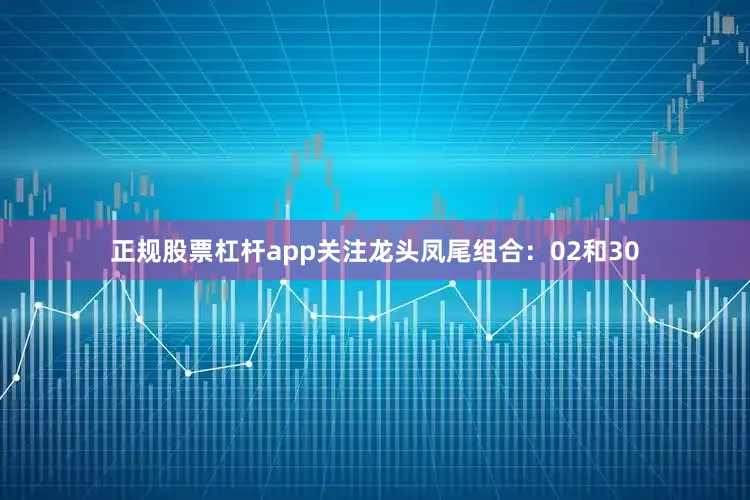 正规股票杠杆app关注龙头凤尾组合：02和30